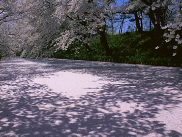 薄紅(うすべに)〜美しき色名の世界
