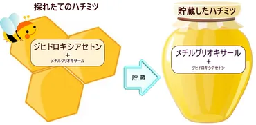 について-大洋製薬株式会社