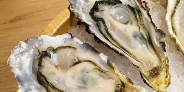 牡蠣食中毒、あなたは大丈夫？原因と予防策を徹底解説！(？)牡蠣の食中毒、原因と対策を徹底解説！ノロウイルス対策