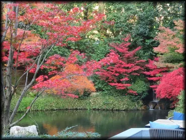 フォーシーズンズホテル京都 「積翠園」―紅葉とアフタヌーンティー ―京都の庭園/造形礼賛