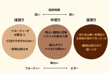 コーヒー豆の焙煎度合いは、全部で8段階！浅煎りから深煎りまでをご紹介