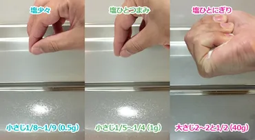 塩少々ってどれくらい?何?料理の曖昧な言葉を写真と動画でプロが伝授