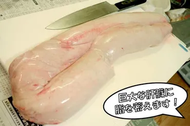 魚の雑学】鰾(浮袋)を持たない魚のオモシロい進化とは?!