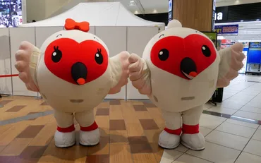 トッキッキ」等の新潟県ゆるキャラ写真集その