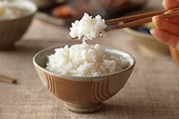 和食文化の保護・継承活動について