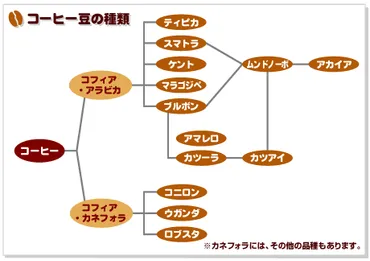 コーヒー豆の品種 