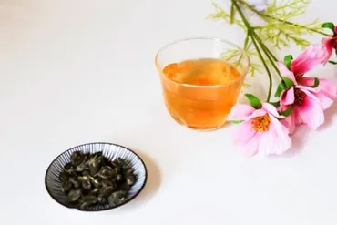 ジャスミン茶の効能を掘り下げると女性に好まれる理由が見えてくる!–てんまん帳