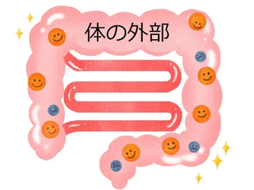 カロリー計算:アトウォーター係数が完全ではない理由