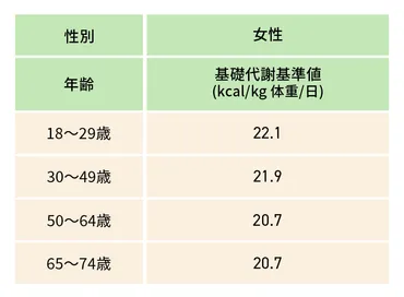 成人女性の必要摂取カロリー、目安はどれくらい？計算方法、過剰な摂取や不足のリスクも紹介