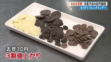 カカオショック」直撃で゛ビターなバレンタイン゛に?カカオ価格高騰に苦悩する洋菓子店の工夫は