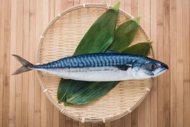 鯖缶ダイエットの全貌！効果的な食べ方とレシピを徹底解説？鯖缶ダイエットの基礎知識と実践ガイド