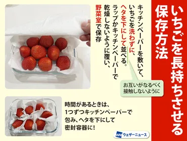 保存は洗ってから?洗わずに?いちごを長持ちさせる保存方法