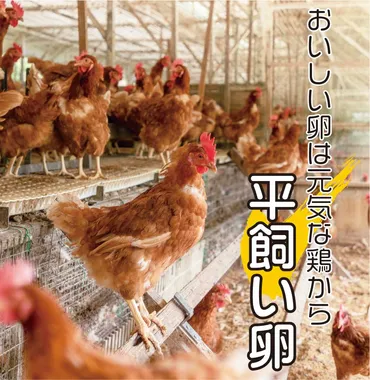 おいしい卵は元気な鶏から平飼い卵 