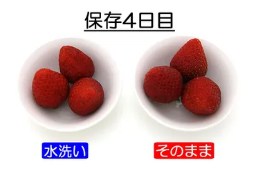 いちごの保存方法 長持ちさせる保存の仕方
