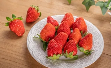 いちごは保存前に洗っちゃダメ!?正しい保存方法と長持ちのコツ【管理栄養士が解説】