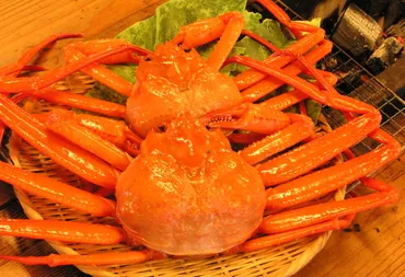 公式】魚津市観光協会