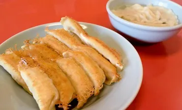 宇都宮餃子食べ歩き！正嗣や人気店の味を徹底レビュー！(美味しい餃子の秘密を探る？)宇都宮餃子百名店巡り！正嗣の焼き餃子と水餃子、行列の秘密とは？