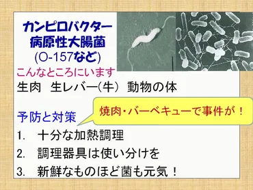 新鮮な肉やレバーは生で食べてもだいじょうぶ？（病原性大腸菌O