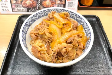 牛丼チェーン徹底比較！吉野家、松屋、すき家、三つ巴の味と戦略を徹底解剖！(牛丼、カレー、店舗数？)牛丼戦争の舞台裏：吉野家、松屋、すき家のメニュー、価格、店舗数の違い