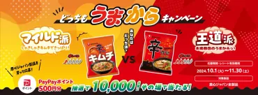 辛ラーメン製品購入で500円PayPayポイントが当たる!キャンペーン開催