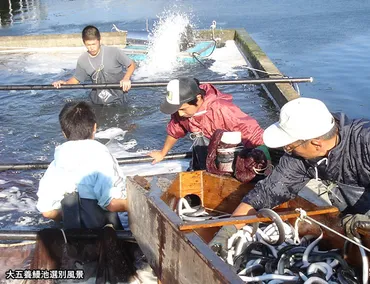うなぎ【国産】【中国産】の違い!うなぎ博士に聞く「うなぎの真実」