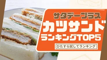 サタプラ カツサンドランキング（ひたすら試してランキング）