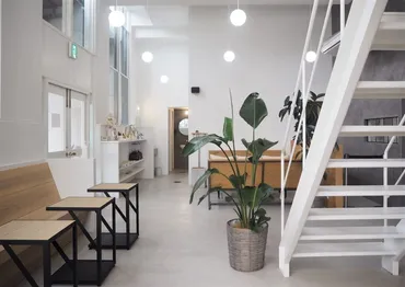 鴨川カフェcafeplanetとは？愛犬と行けるヴィーガン＆グルテンフリーカフェの魅力とは？鴨川沿いのカフェプラネット：ヴィーガン&グルテンフリーの癒やし空間
