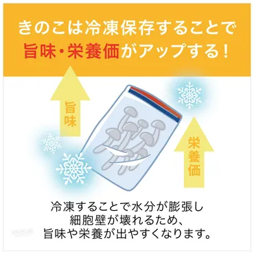 きのこの冷凍保存術！鮮度と旨味をキープする方法とは？きのこの冷凍保存で食生活を豊かに！基本からレシピまで