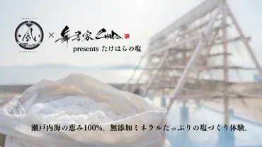 塩の世界探求！～海塩、岩塩、そして健康への影響とは？～ミネラル豊富な塩の世界へようこそ