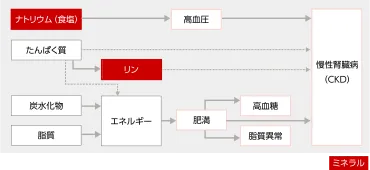 慢性腎臓病(CKD)と食のリテラシー【第3回】ミネラルとのおつきあい その①ミネラルことはじめ腎臓病・透析に関わるすべての人の幸せのための じんラボ
