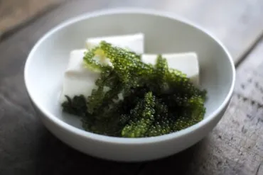 海ぶどうの美味しい食べ方:プチプチ食感を最大限に楽しむ! 沖縄レンタカー 格安