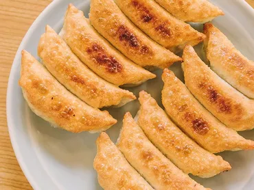 何皿でも食べられる゛スーパーB級グルメ゛ キングオブ餃子は芸術品のような美しさ 