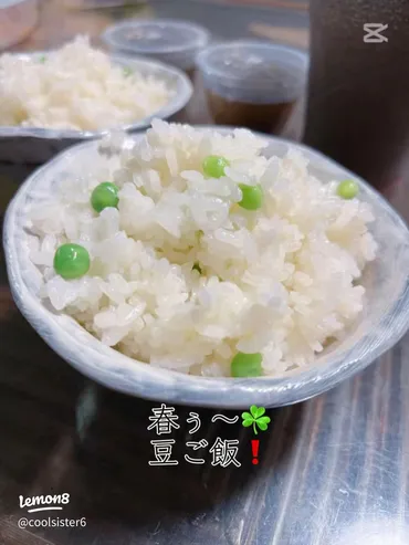 春の味覚と寿司、テイクアウト！グルメな食の世界をご紹介！？春の食材、寿司フェア、テイクアウトメニュー！食の最新情報をお届け