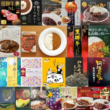 レトルトカレーの世界へ！選び方のポイントからおすすめ商品まで徹底解説！手軽に本格カレー！ レトルトカレーを選ぶ３つの秘訣