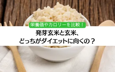 発芽玄米と玄米の違い