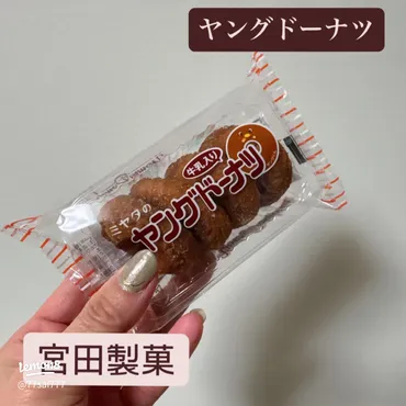 懐かしいヤングドーナツの思い出とその魅力