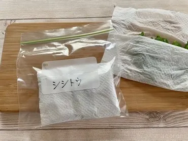 ししとうは冷凍できる?冷蔵・冷凍保存方法や劣化の見分け方