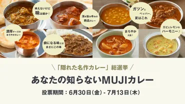 無印良品「レトルトカレー」゛隠れた名作゛総選挙、7月13日まで実施中 「マッサマン」「サグチキン」「パニールマッカニー」など8商品がエントリー