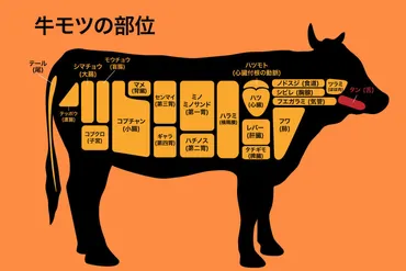 人気】希少部位タンの特徴と見分け方を紹介！他のタン との違いも