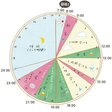 BMAL1(ビーマルワン)が鍵!太りにくい時間に食べるダイエット