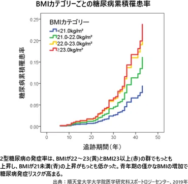 日本健康運動研究所
