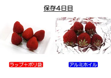 いちごの保存方法 長持ちさせる保存の仕方