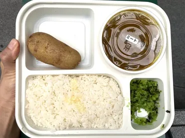 東京駅】「オーベルジーヌのカレー弁当」食べたら芸能人御用達のワケが解明できた!