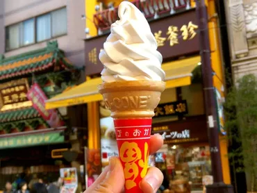 横浜中華街食べ歩きグルメは最高？：定番&話題の12選を徹底解説！（中華街、パンダまん、焼き小籠包）横浜中華街食べ歩き：行列グルメから絶品スイーツまで！