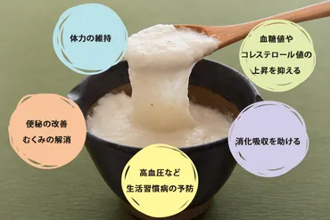 とろろの栄養素と健康効果・効能とは?効率的な食べ方や山芋と長芋の違いも紹介