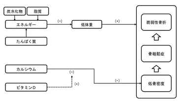 食事摂取基準
