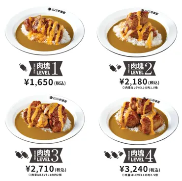 カレーハウスCoCo壱番屋（ココイチ）が肉塊のせ「ホロ肉ドカンとBBQカレー」を全国約570店舗限定、数量限定で新発売！ 