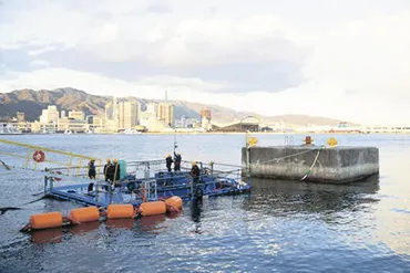 陸上養殖サーモン事業、三菱商事とマルハニチロの挑戦とは？持続可能なサーモン生産を目指す、富山県入善町での陸上養殖事業