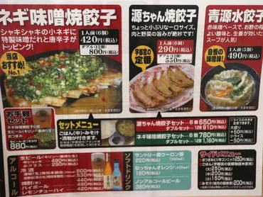 味噌屋さんの作る宇都宮餃子「味噌と餃子の青源 パセオ店」ネギたっぷり乗せた味噌だれの餃子がウリ : あさぴーのおいしい独り言