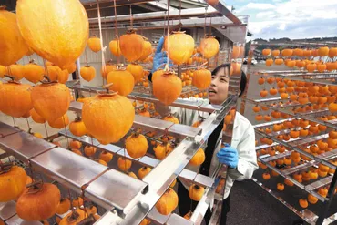 手間をかけ希少価値の甘さ 高級干し柿「堂上蜂屋柿」12月1日予約開始:中日新聞Web